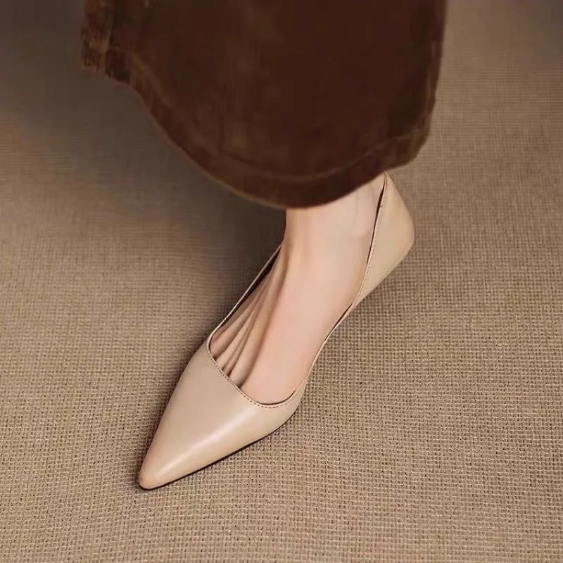 Women's Pointed Toe Stiletto H - Women'S Fashion Footwear review and price